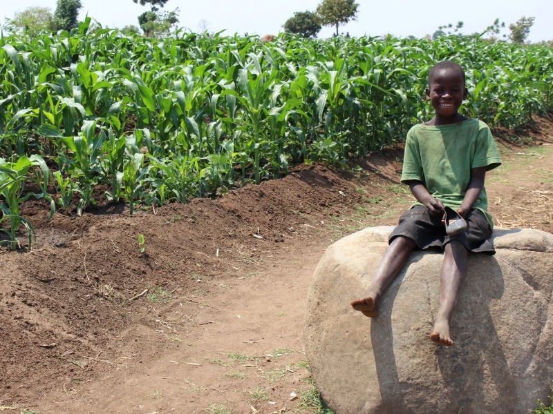 Agricultural & Farming Program